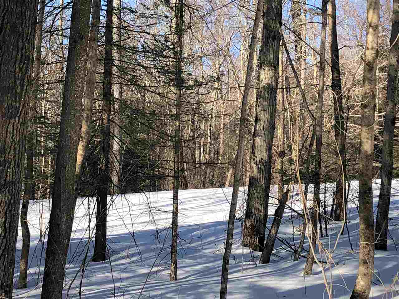1609 Freeman Brook Road Mount Holly, VT 05738 - Photo 9 of 20
