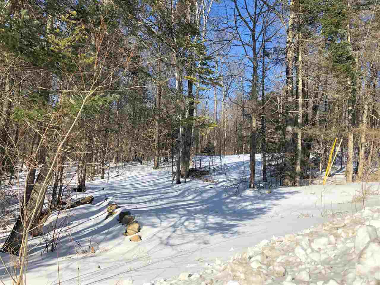 1609 Freeman Brook Road Mount Holly, VT 05738 - Photo 10 of 20