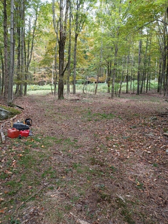 535 Alexander Road New Milford, PA 18834 - Photo 8 of 14 Gallery Image 8