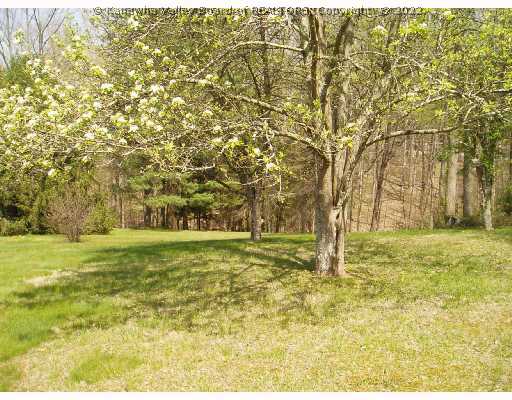 3812 Indian Creek Road Elkview, WV 25071 - Photo 7 of 8 Land/Lot.