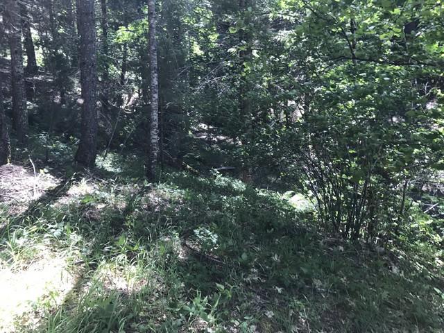 98 Ruth Lake, Unit NONE Mad River, CA 95552 - Photo 15 of 22