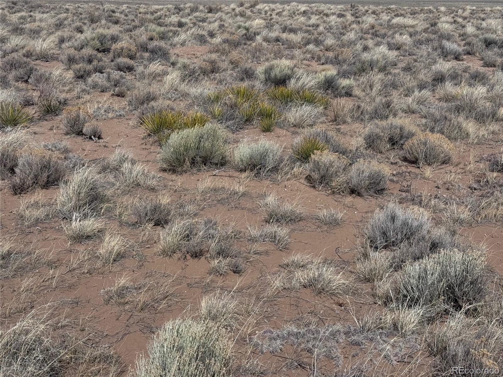 Lot 19 Ana Road Sanford, CO 81151 - Photo 2 of 10 a view of a dry yard with green space and fog