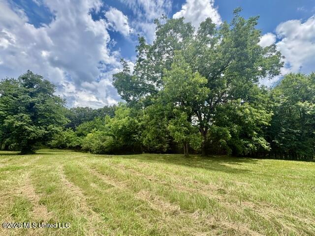 703 Burton Road Senatobia, MS 38668 - Photo 4 of 10 IMG_3812