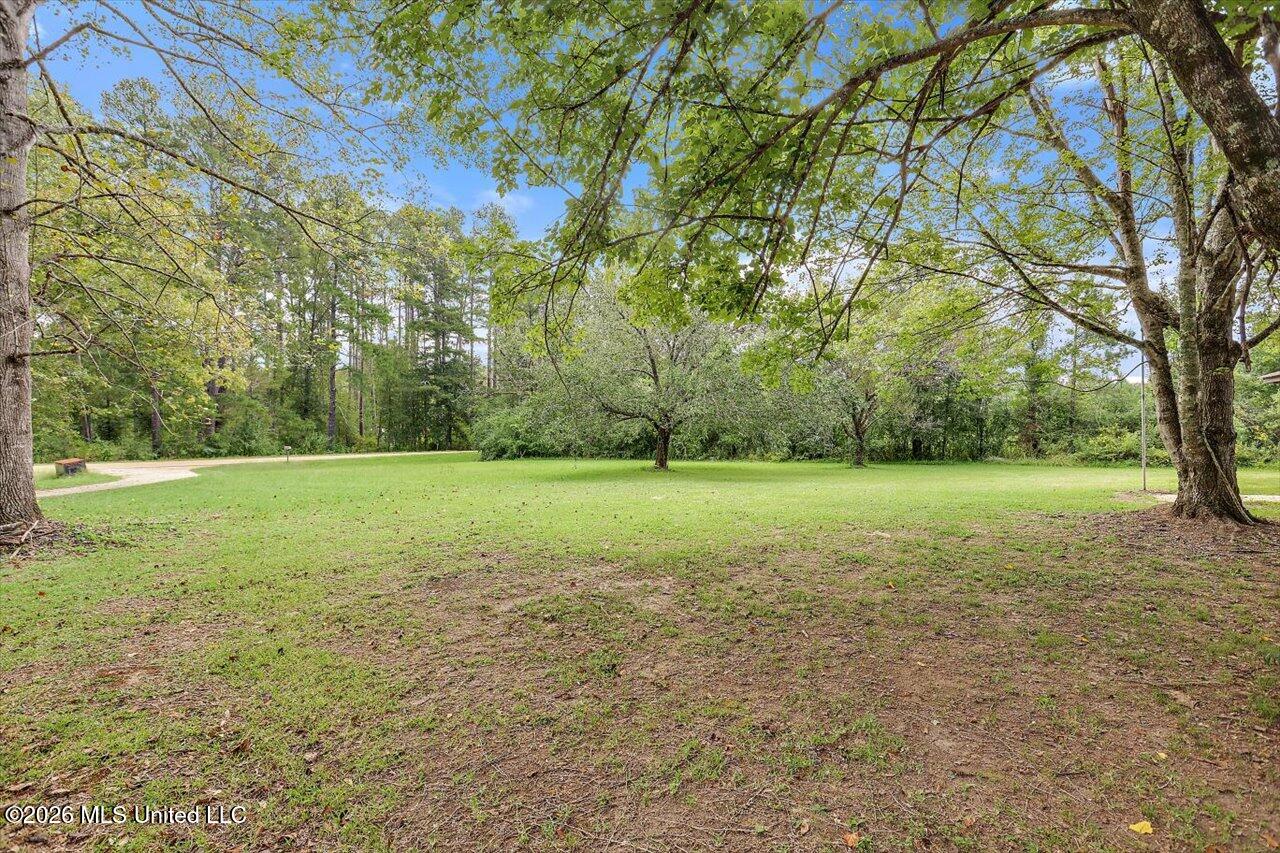 3125 Beasley Road Wesson, MS 39191 - Photo 6 of 40 06-3125 Beasley Rd