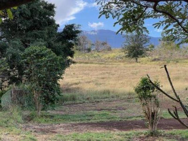650 Papipi Road Kula, HI 96790 - Photo 11 of 15 a view of a yard with an outdoor space