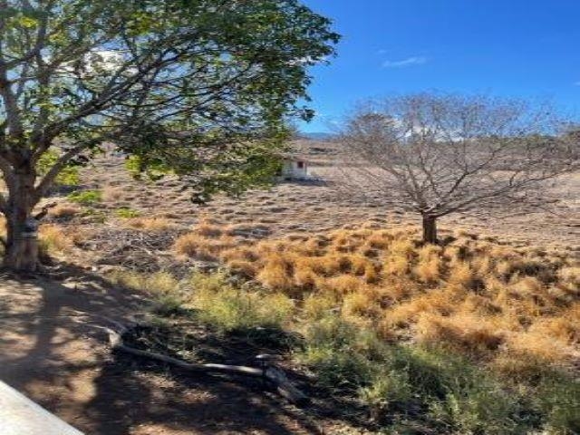 650 Papipi Road Kula, HI 96790 - Photo 9 of 15 a view of a yard