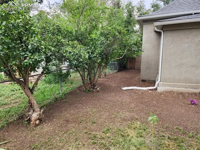 a view of a yard with plants and trees