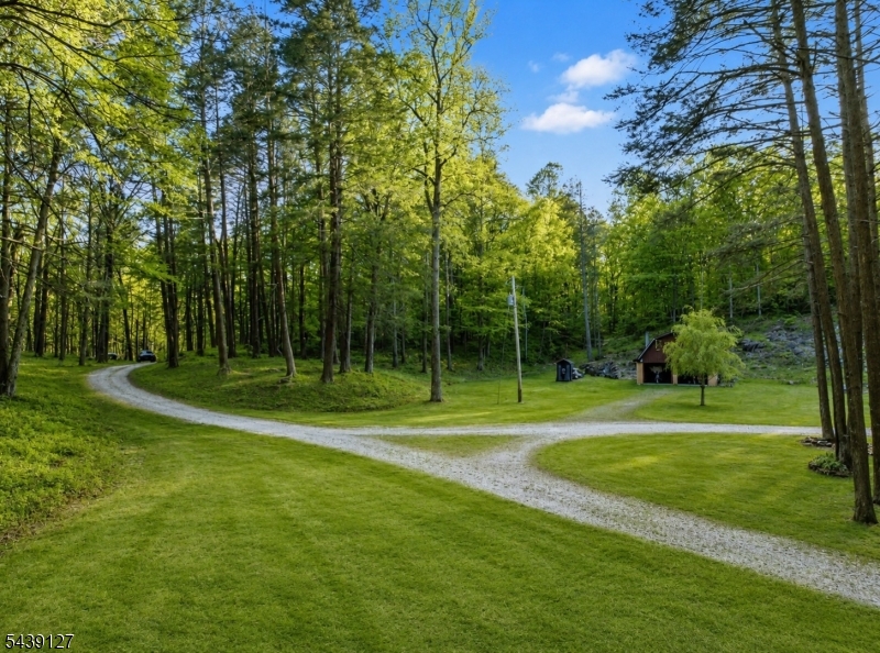 1127 Dark Moon Road Newton, NJ 07860 - Photo 8 of 48