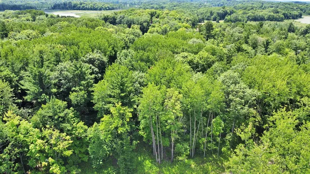 $175,000 | 43-xxx Daisy Street, Aitkin, MN 56431