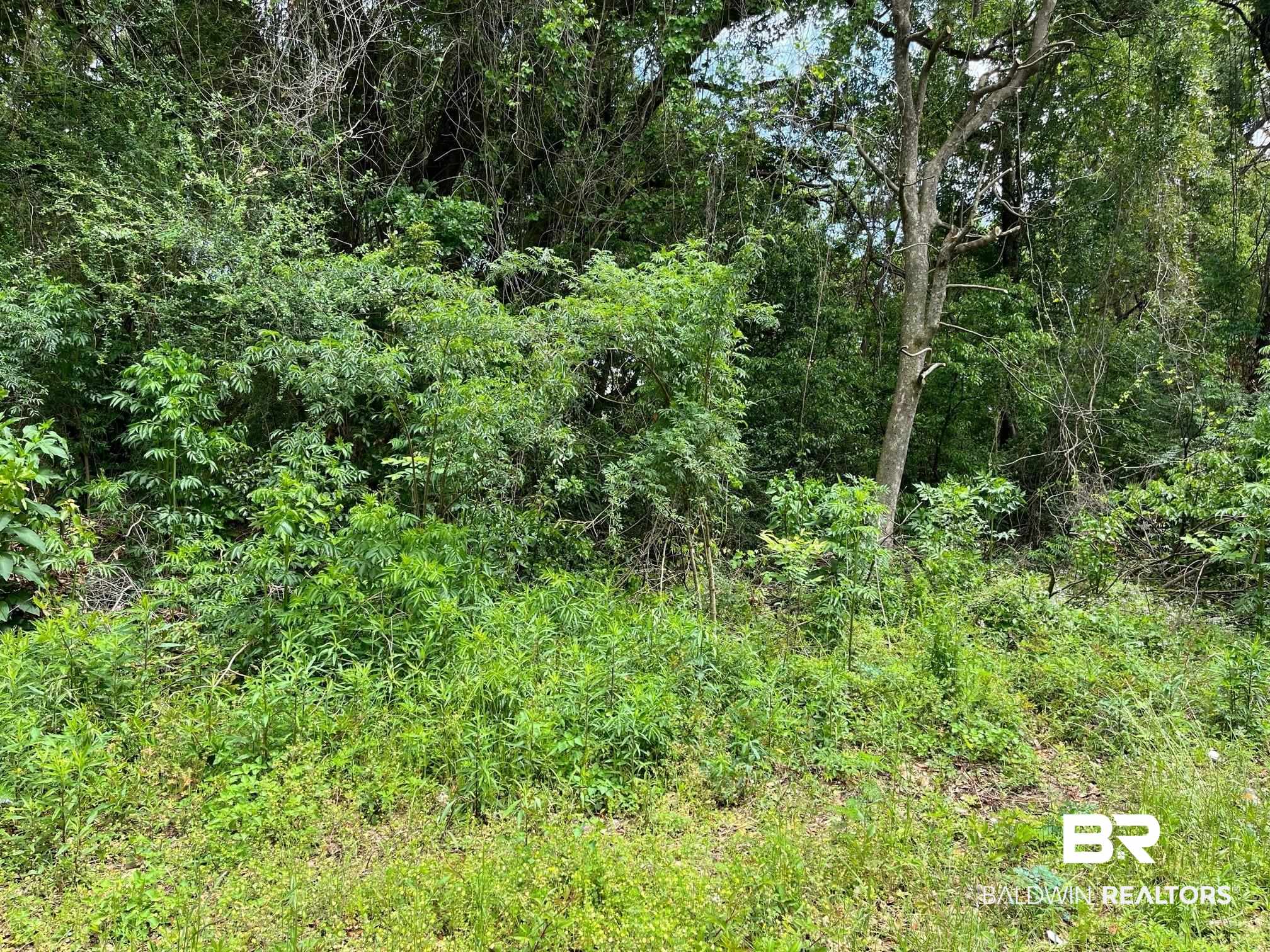 2151 Beverly Road Irvington, AL 36544 - Photo 1 of 3