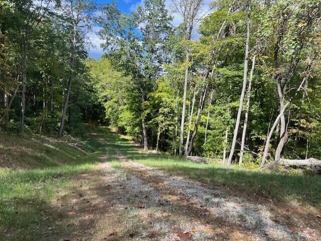 23875 Mathias Road South Bloomingville, OH 43152 - Photo 62 of 89 thumbnail_IMG_8922