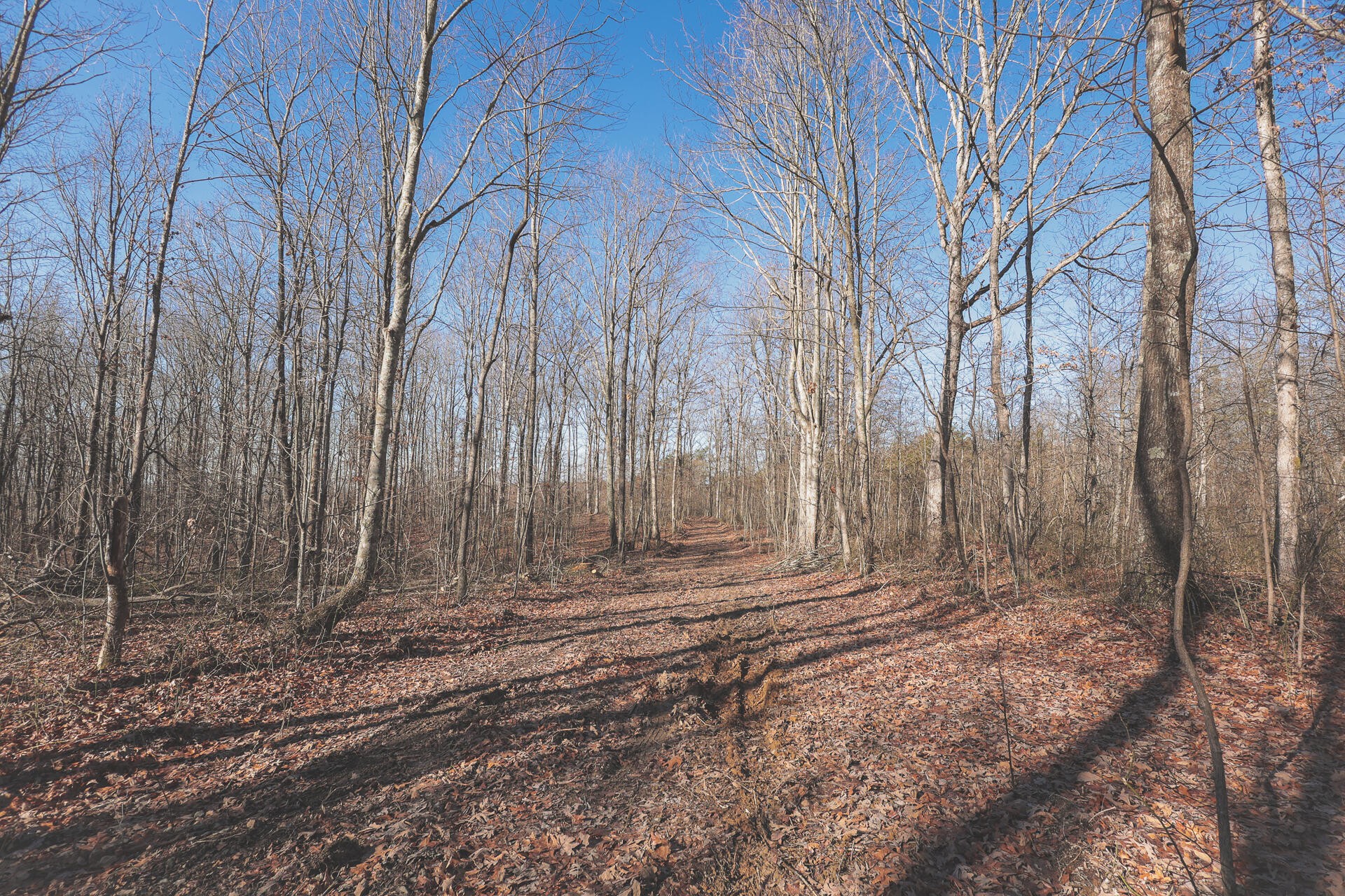 0 Palmer Firetower Road Whitwell, TN 37397 - Photo 36 of 49 Gallery Image 36