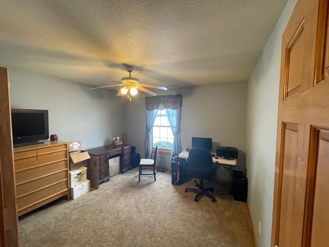 133 West Anderson Road Linwood, MI 48634 - Photo 17 of 32 Gallery Image 17