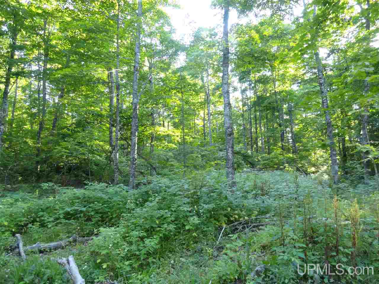 80 SOUTH Off Co Road Ishpeming, MI 49849 - Photo 7 of 20