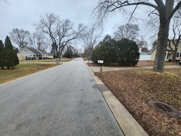 a street view with large trees