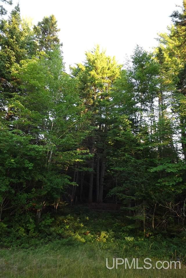 Tbd Little Rice Lake Road, Unit 43 Lake Linden, MI 49945 - Photo 15 of 15 Gallery Image 15