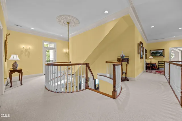 a view of a yard with plants and trees