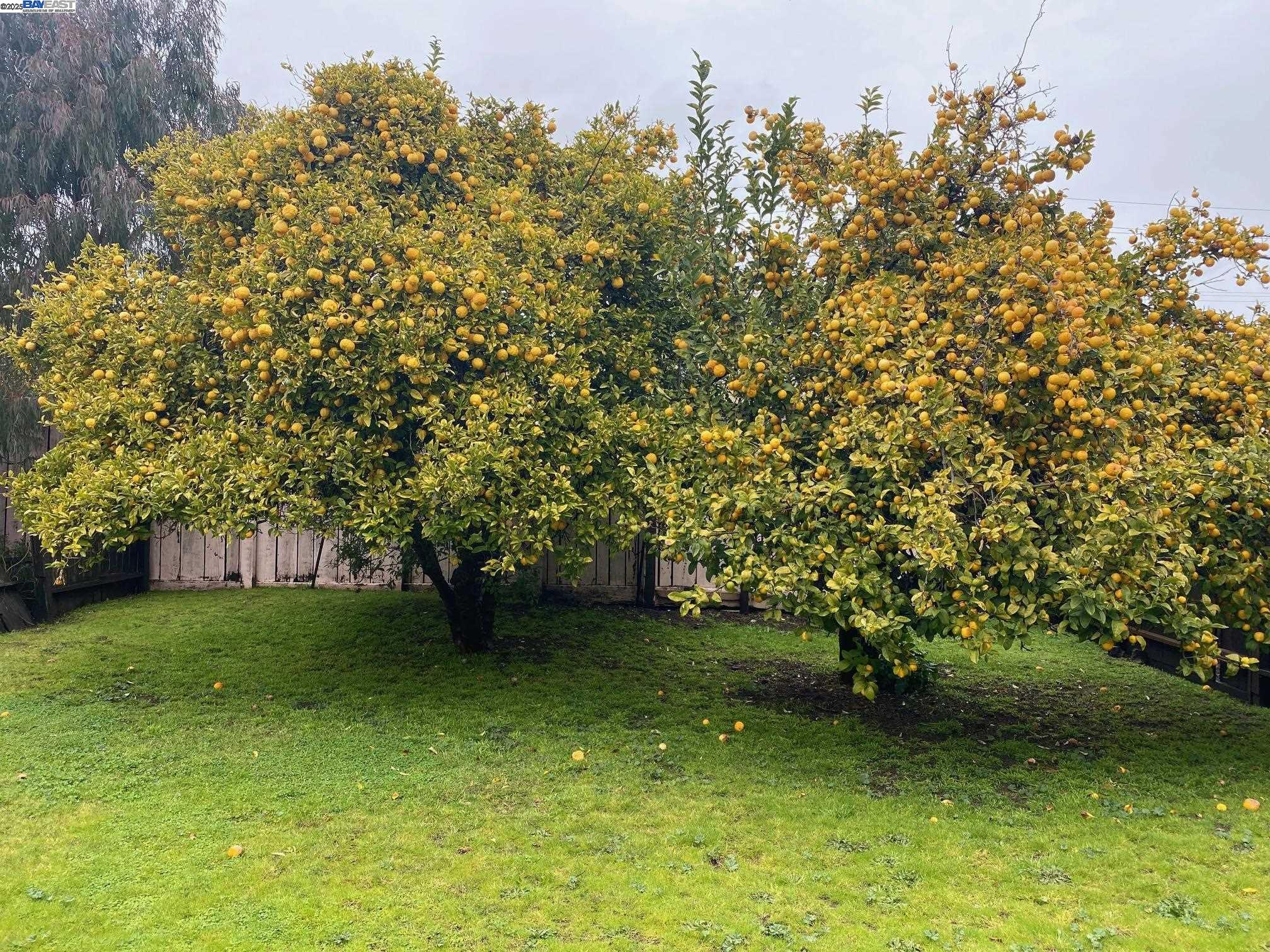 549 Pacific Avenue Alameda, CA 94501 - Photo 11 of 11