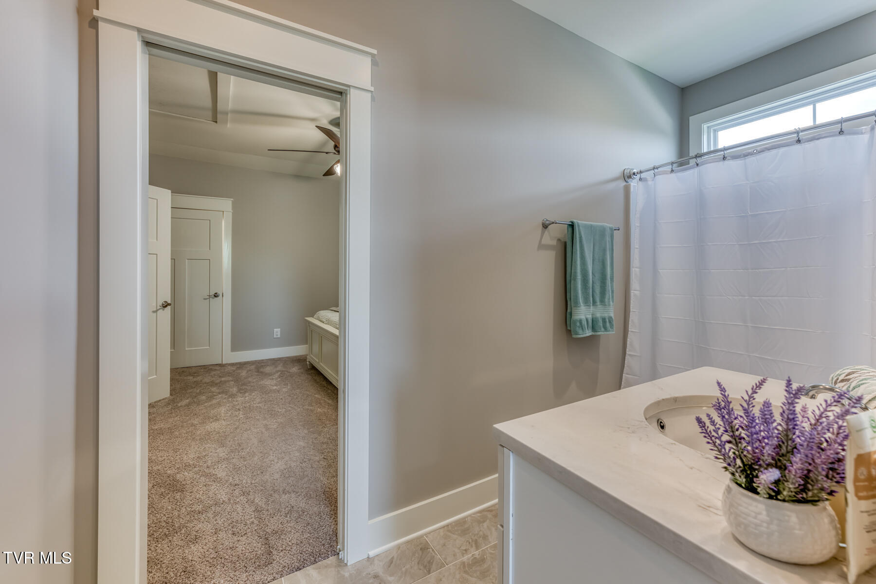 51 Quail Ridge Way Jonesborough, TN 37659 - Photo 42 of 64 Jack-n-Jill BathRidge Way-42 - Copy