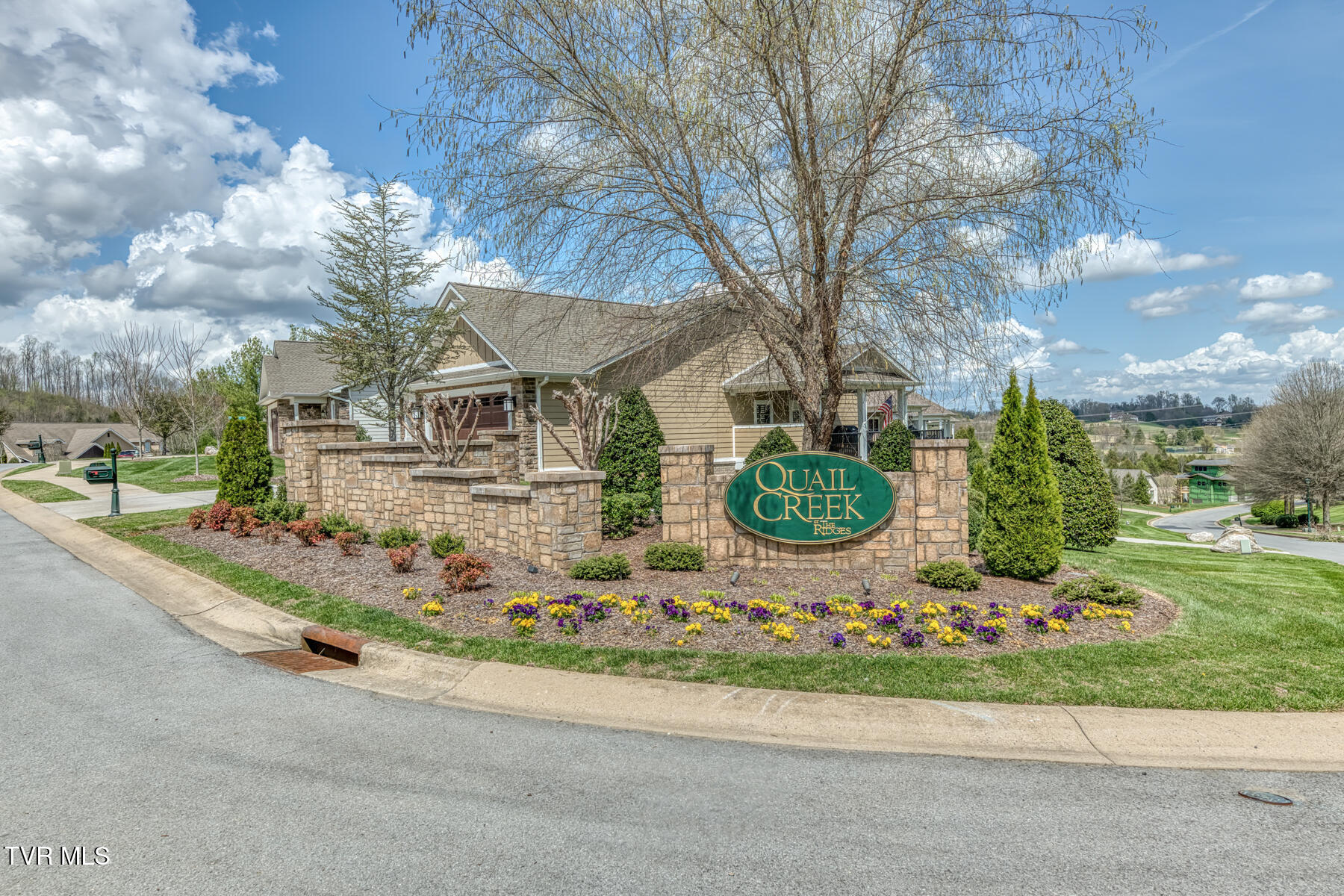 51 Quail Ridge Way Jonesborough, TN 37659 - Photo 60 of 64 51 Quail Ridge Way-63