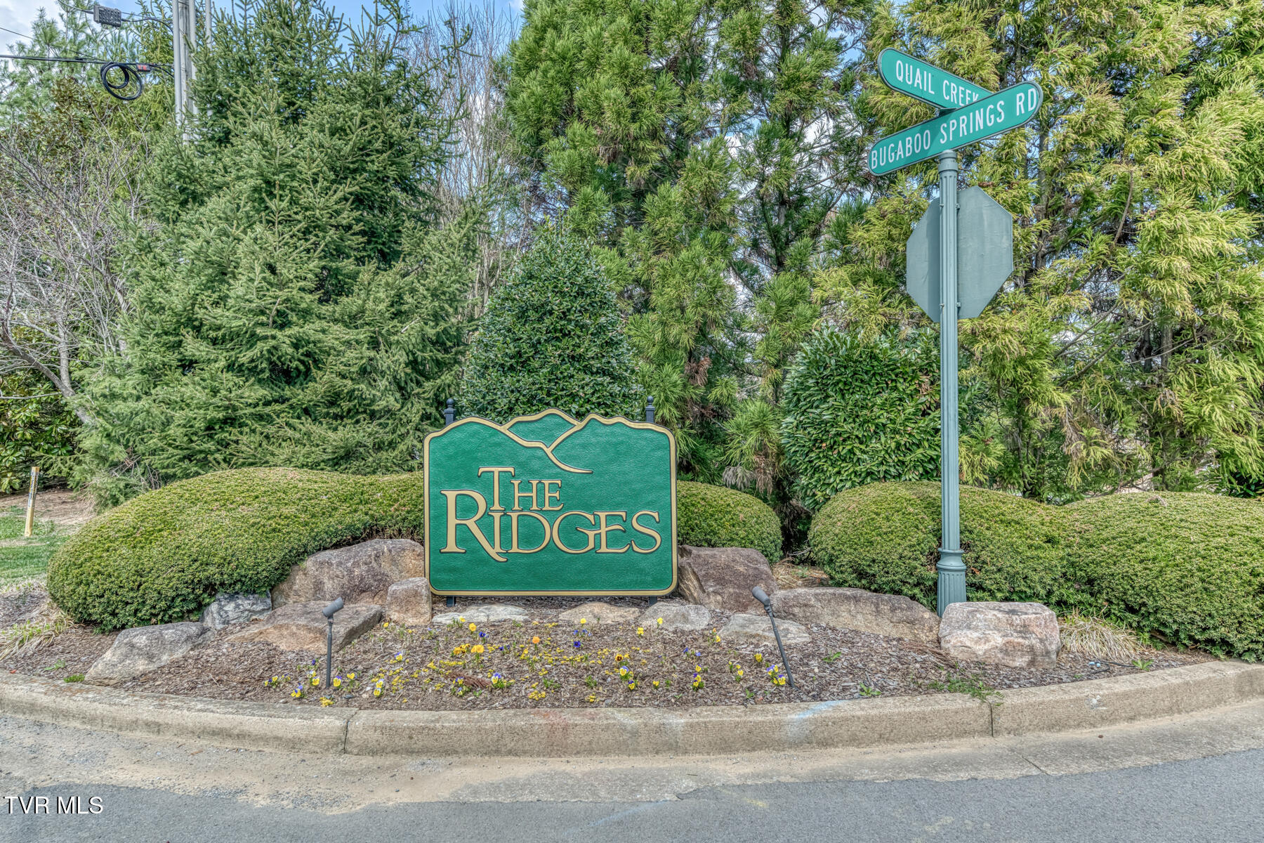 51 Quail Ridge Way Jonesborough, TN 37659 - Photo 61 of 64 51 Quail Ridge Way-64