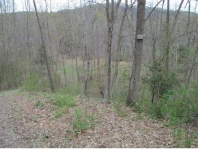 Tbd Highline Road Unicoi, TN 37692 - Photo 1 of 6 Photo 1