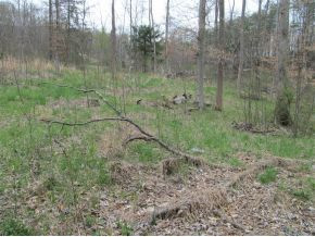 Tbd Highline Road Unicoi, TN 37692 - Photo 4 of 6 Photo 4