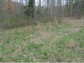 Tbd Highline Road Unicoi, TN 37692 - Photo 5 of 6 Photo 5