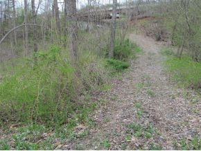 Tbd Highline Road Unicoi, TN 37692 - Photo 6 of 6 Photo 6