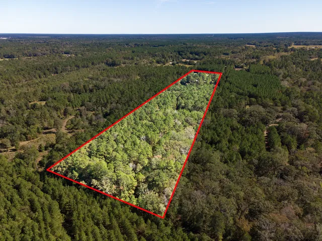 a view of a garden with an outdoor space