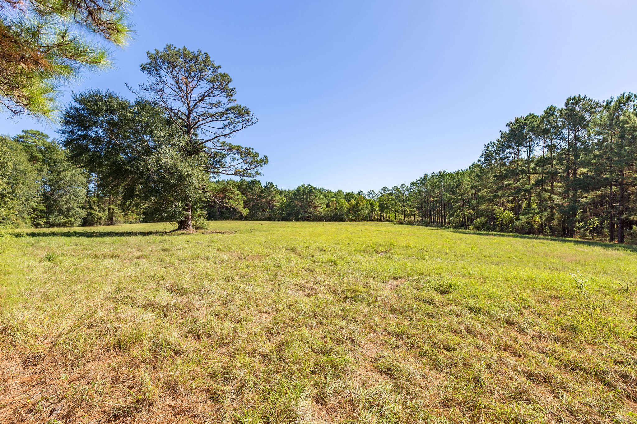 1152 Loving Road Lufkin, TX 75901 - Photo 31 of 42 a view of outdoor space and yard