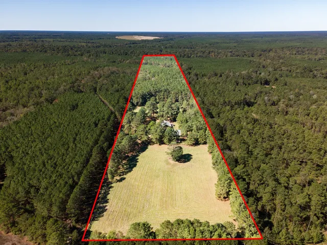a view of a swimming pool with a yard and large trees