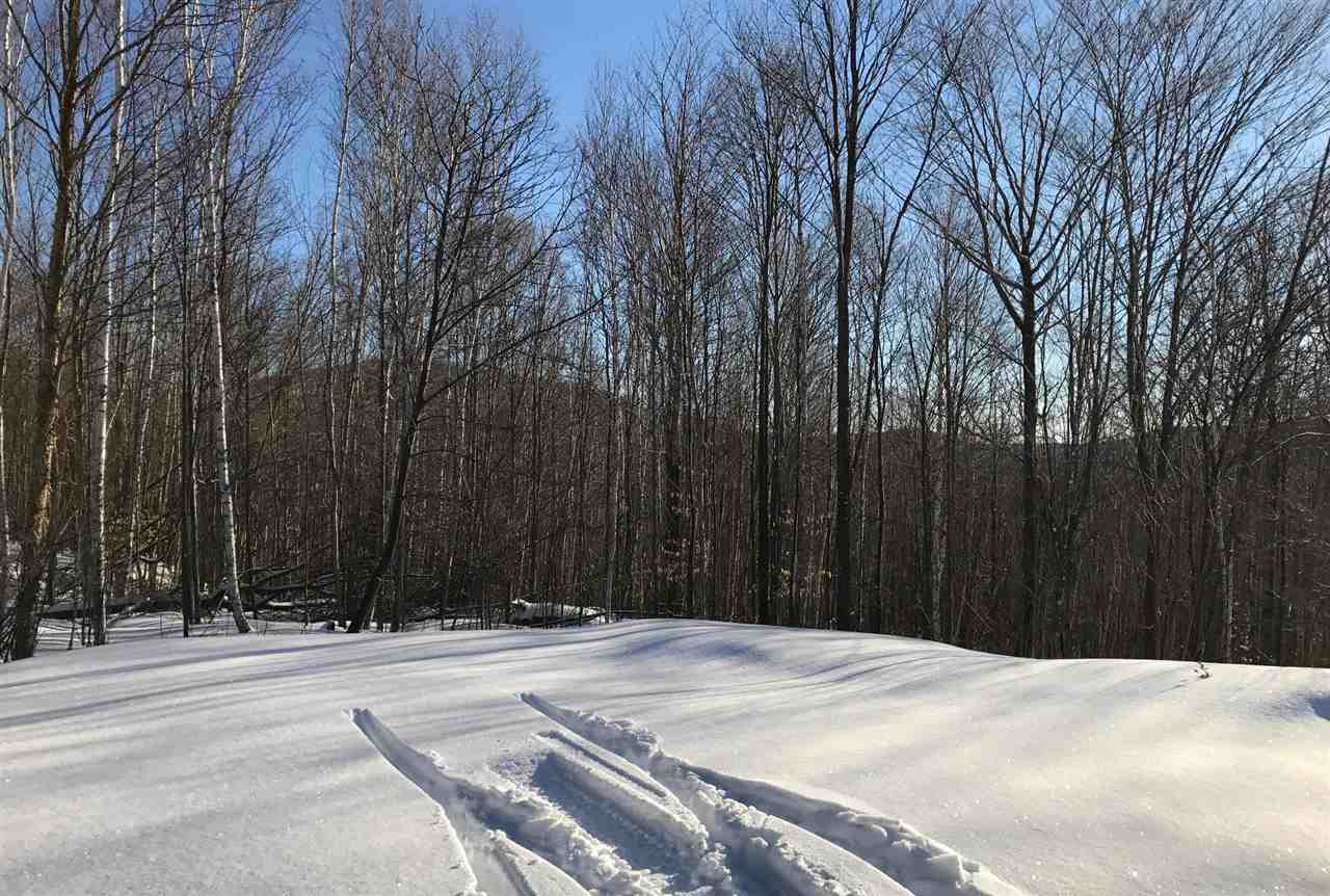 Hall Road Lunenburg, VT 05906 - Photo 6 of 7