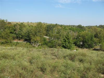 1785 Highview Church Road Bloomfield, KY 40008 - Photo 19 of 28 Property is located at corner of Timber