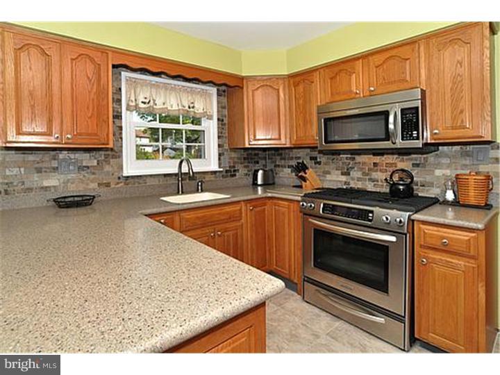 1749 Sorrel Road Warrington, PA 18976 - Photo 4 of 15 Kitchen