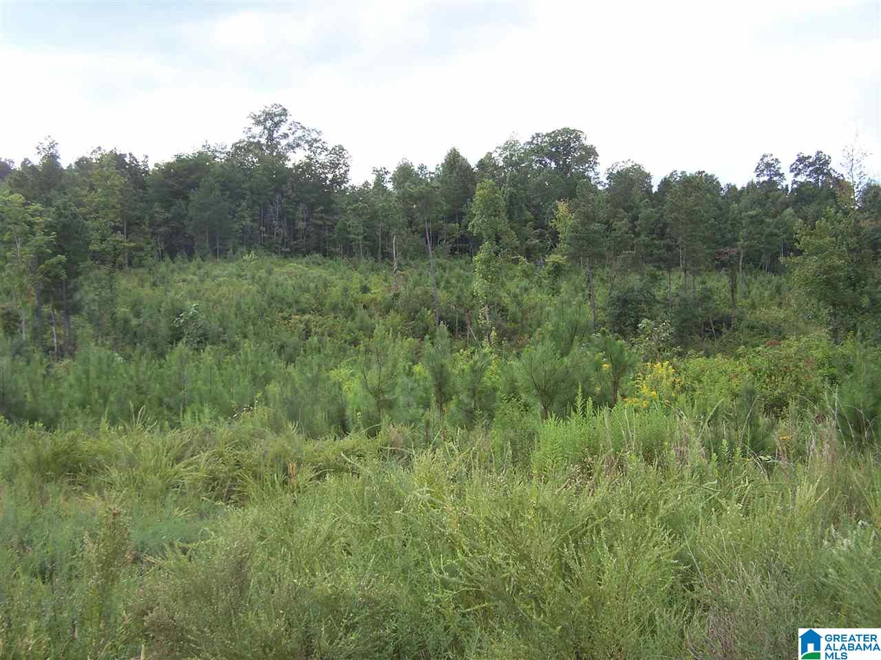 0 Jackson Trail, Unit 140 ACRES Altoona, AL 35952 - Photo 34 of 50