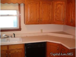 1717 East Converse Street Springfield, IL 62702 - Photo 5 of 7