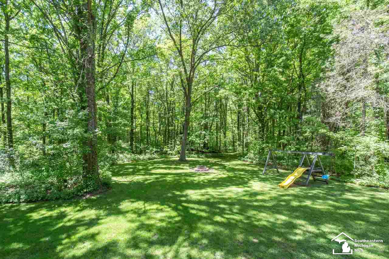 11853 Douglas Road Temperance, MI 48182 - Photo 3 of 30