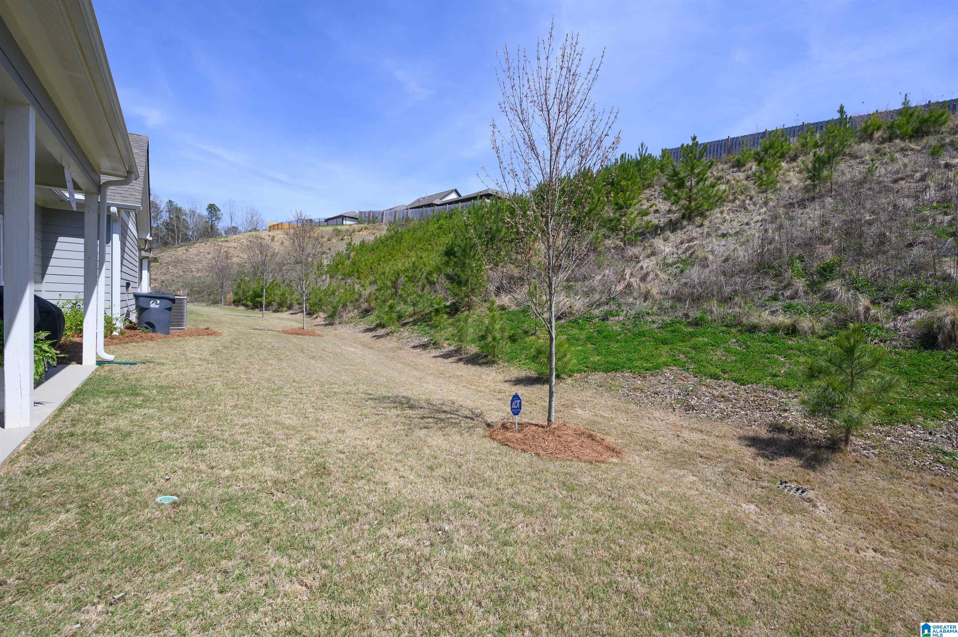 3104 Simms Landing Pelham, AL 35124 - Photo 45 of 56