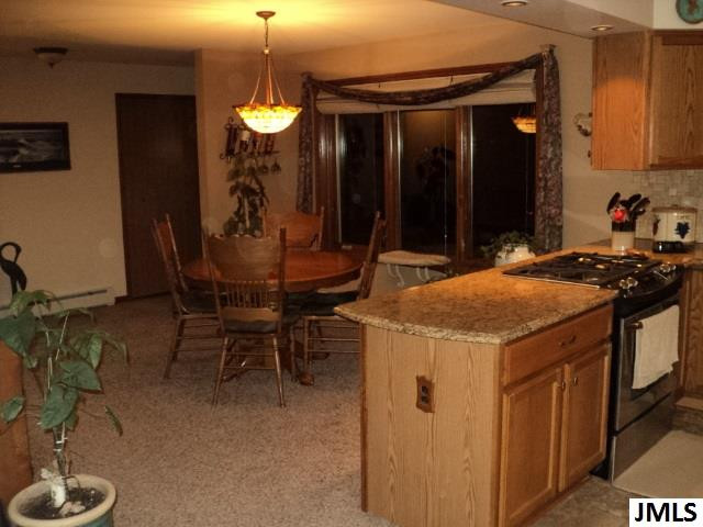 4566 Clark Lake Road Jackson, MI 49201 - Photo 7 of 18 Photo 7