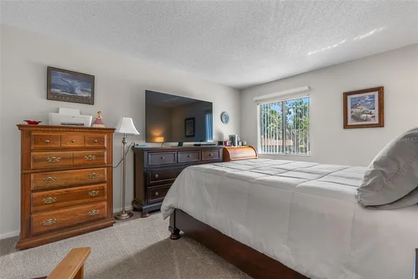 a view of a park with entertaining space