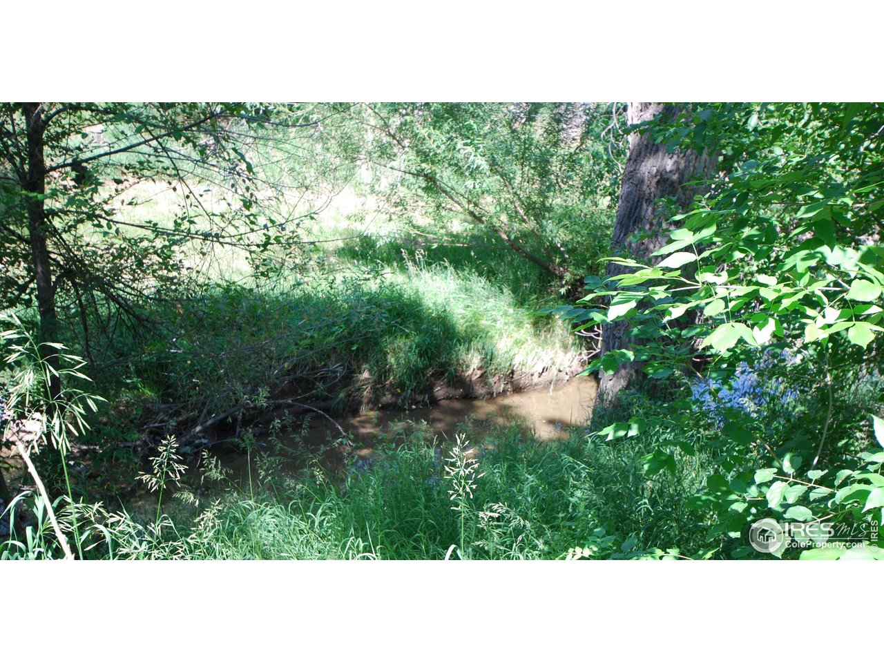 5808 South Pearl Street Centennial, CO 80121 - Photo 45 of 49 Running River is Truly a Peaceful Setting