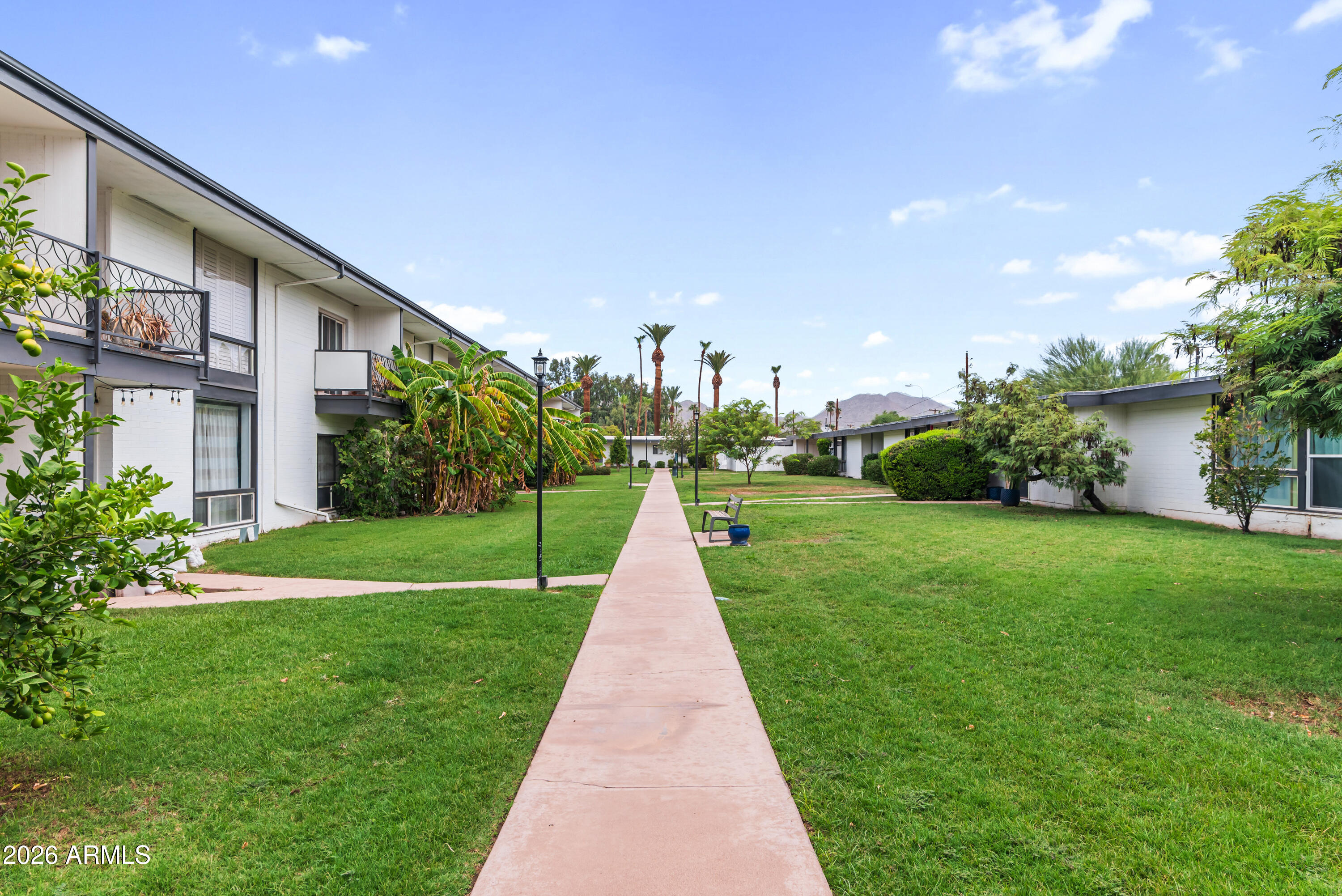 3242 East Camelback Road, Unit 204 Phoenix, AZ 85018 - Photo 27 of 42 Community Walking Path_View 1