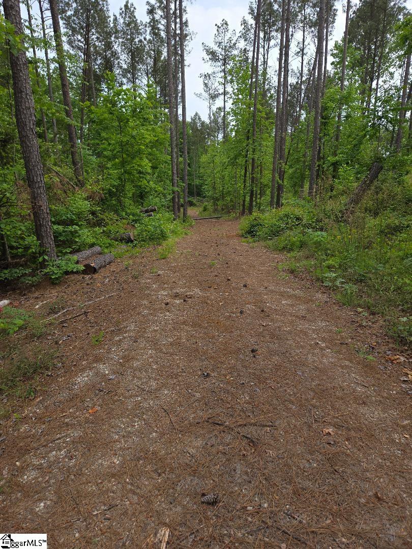 516 Franklin Finley Road Easley, SC 29640 - Photo 2 of 20