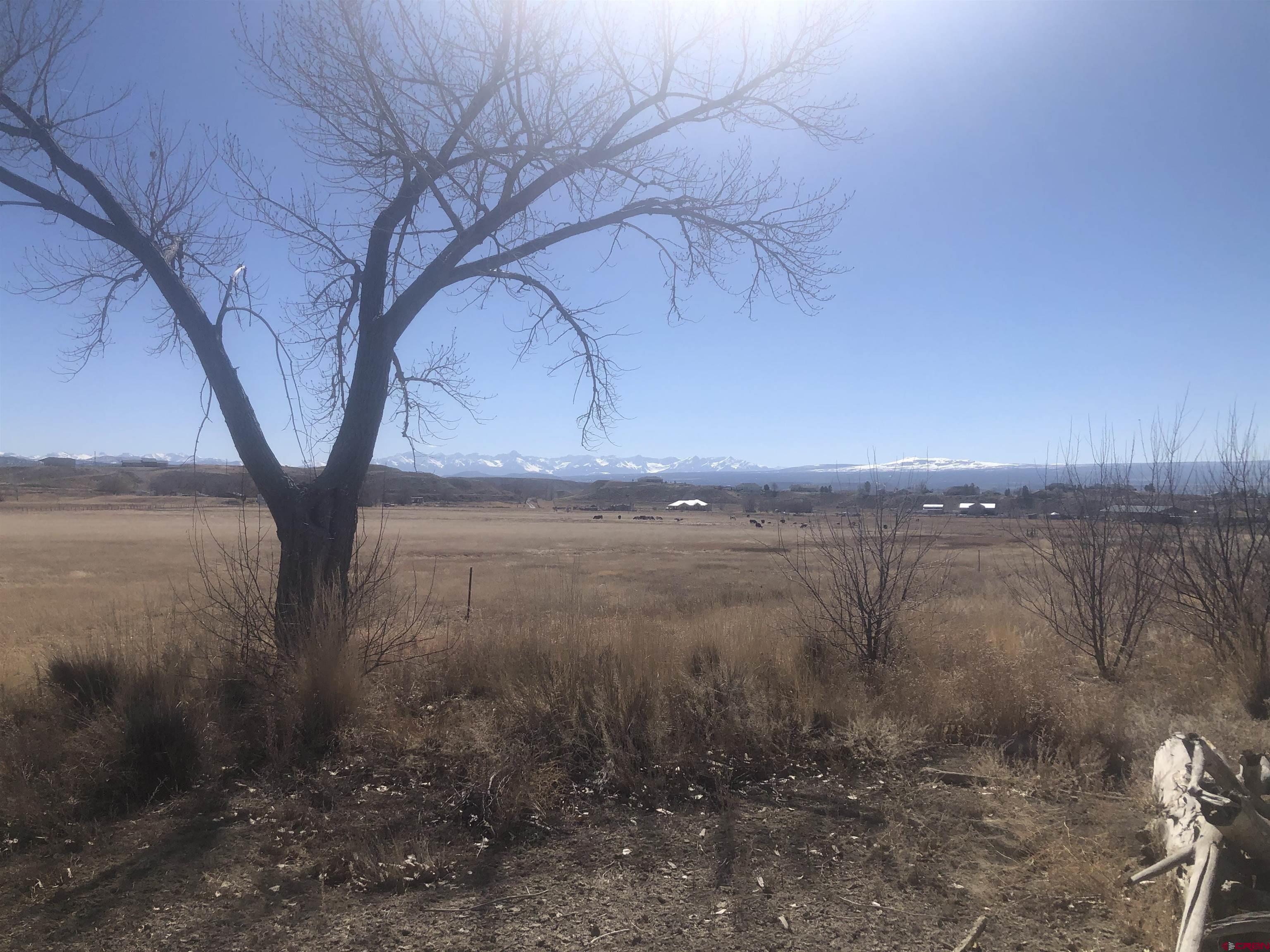 Tract A & 3 East Oak Grove Road Montrose, CO 81401 - Photo 4 of 11 a view of a yard next to a lake view