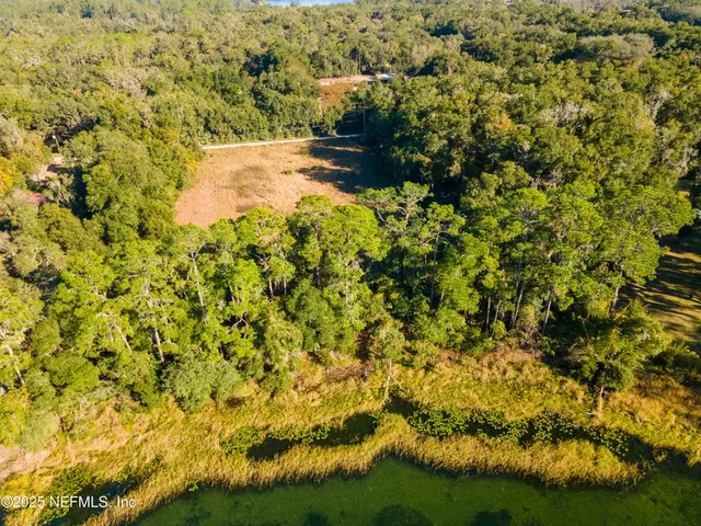 a view of a yard with a tree