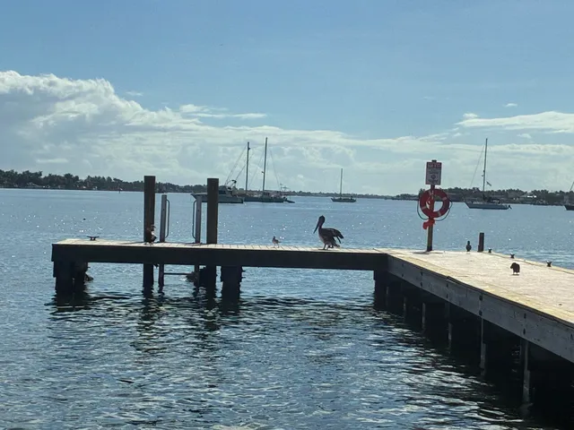 a view of a swimming pool with a table and chairs