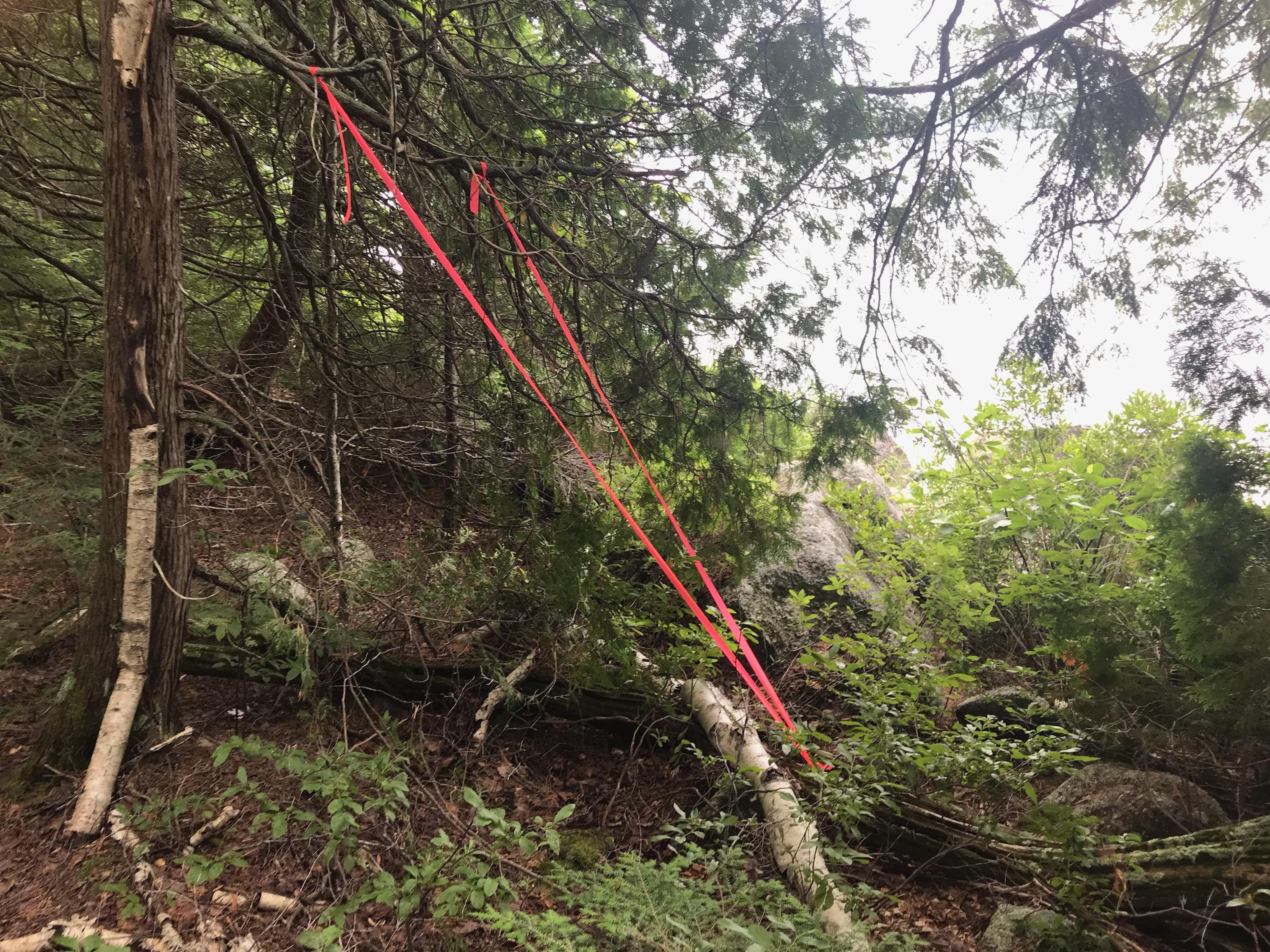 10 Map Bend Burlington, ME 04417 - Photo 5 of 22 IMG_6070
