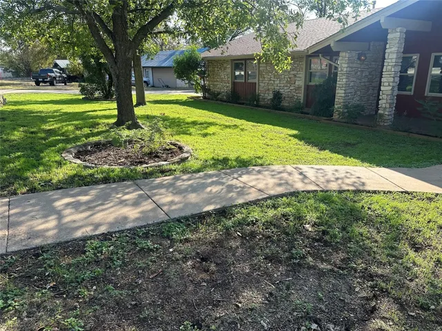 a view of a yard with plants and large trees