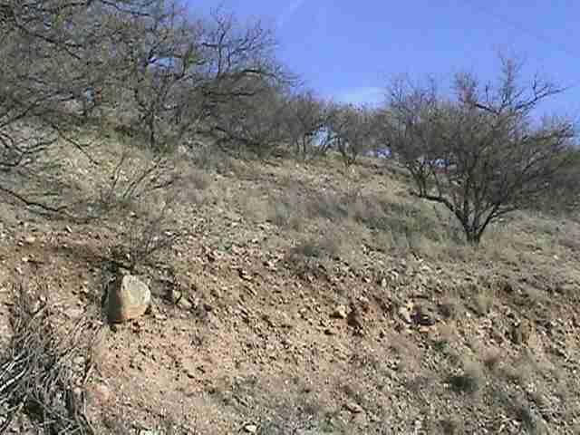 1122 Via Jacaranda Rio Rico, AZ 85648 - Photo 1 of 3